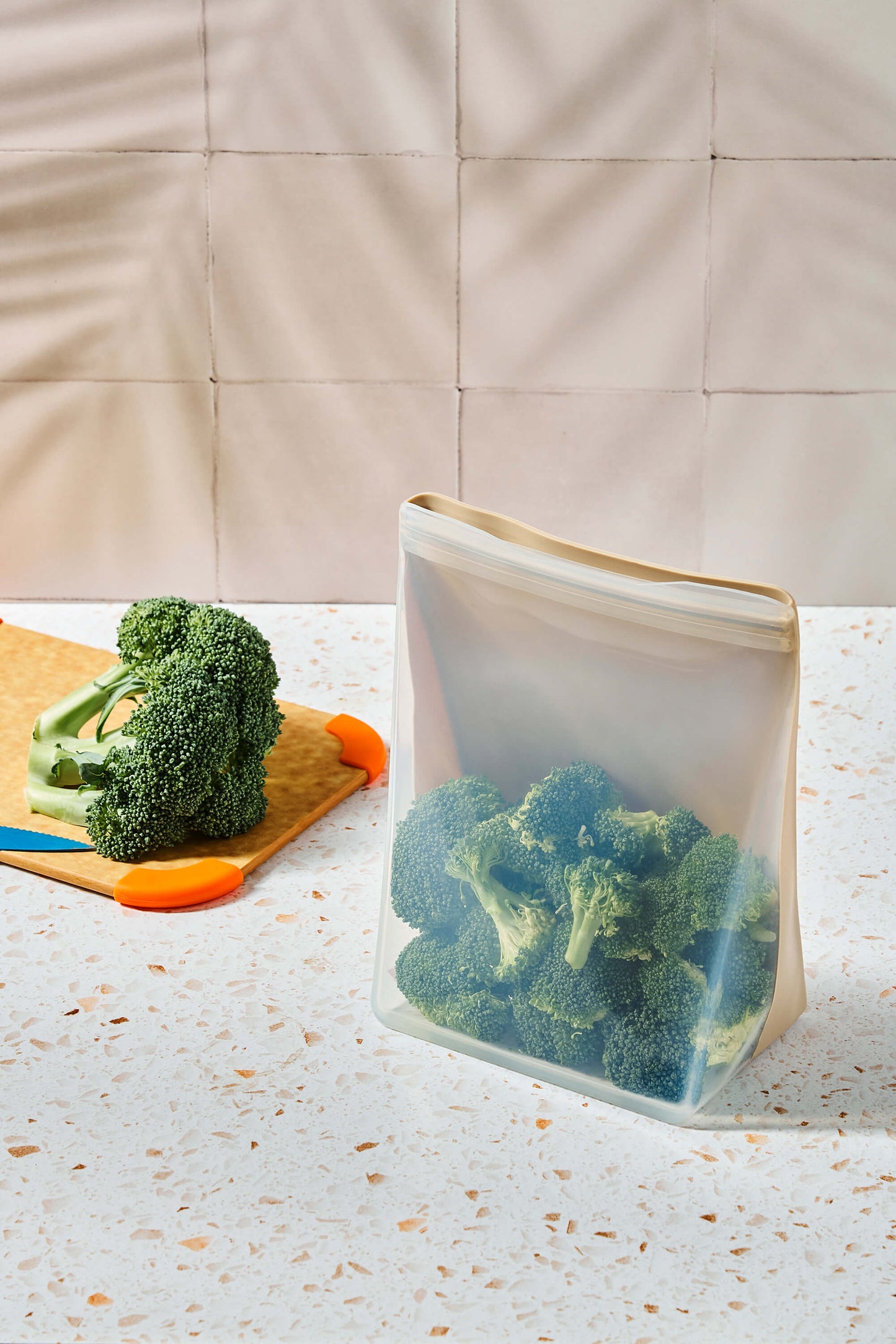 Reusable Stand-Up Bag