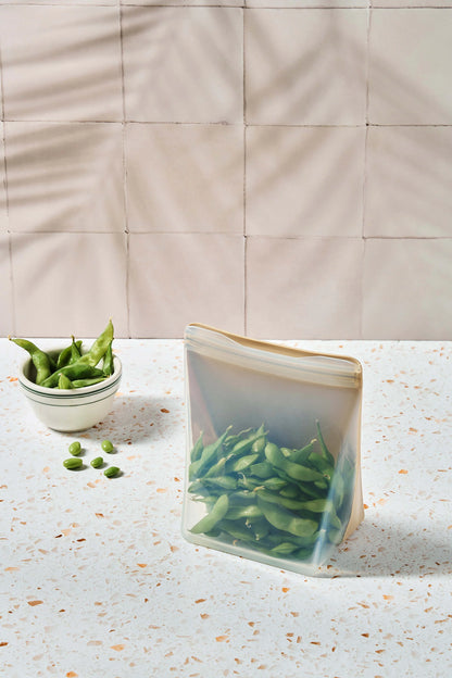 Reusable Stand-Up Bag