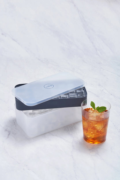 The Ice Box